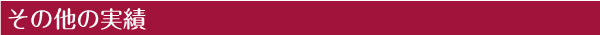 その他の実績